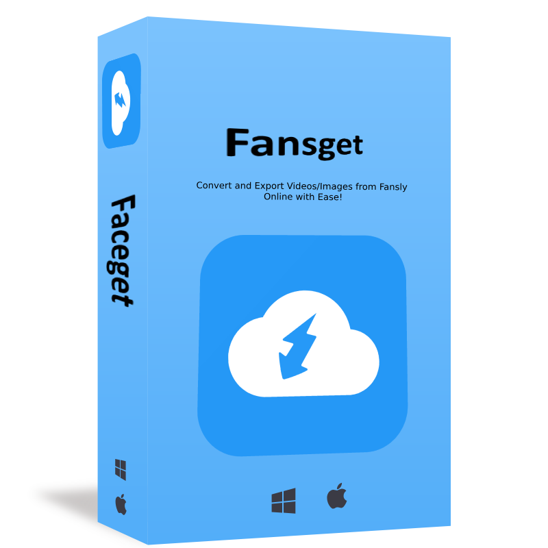 Fansget product box