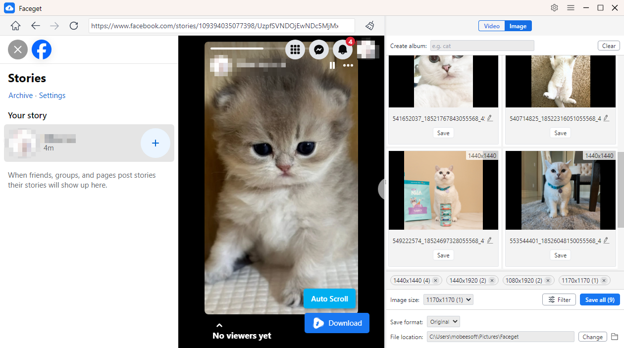 faceget download fb story