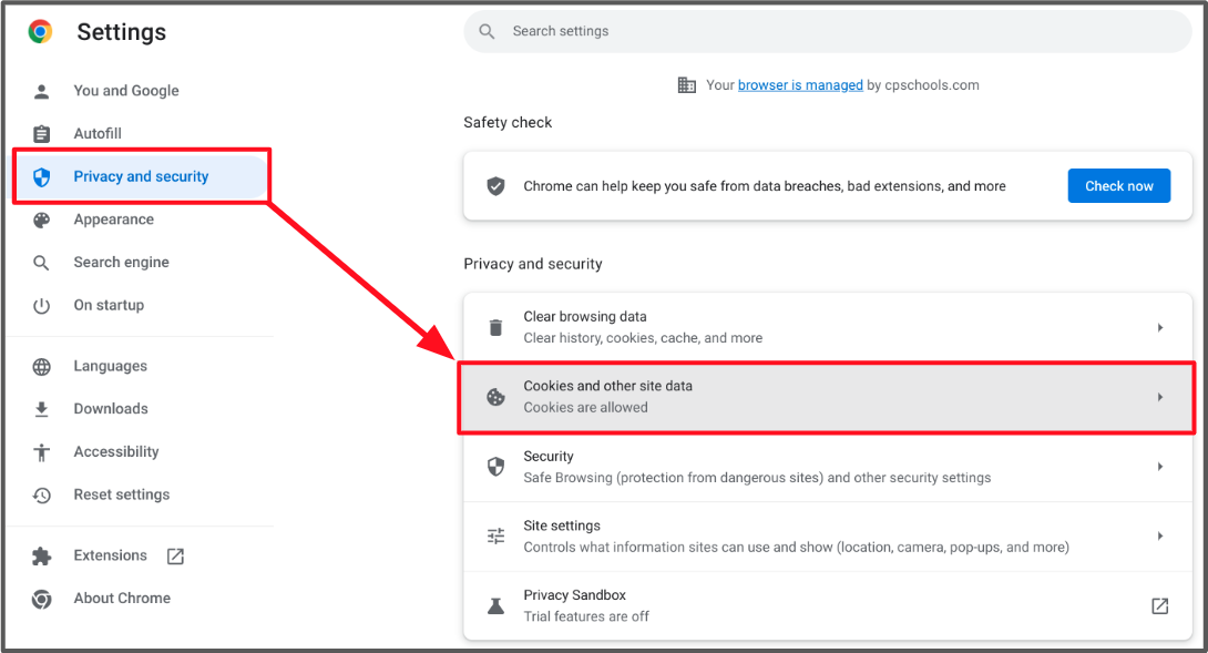 google settings cookies and other site data