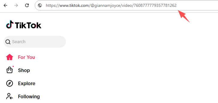 paste tiktok link into browser