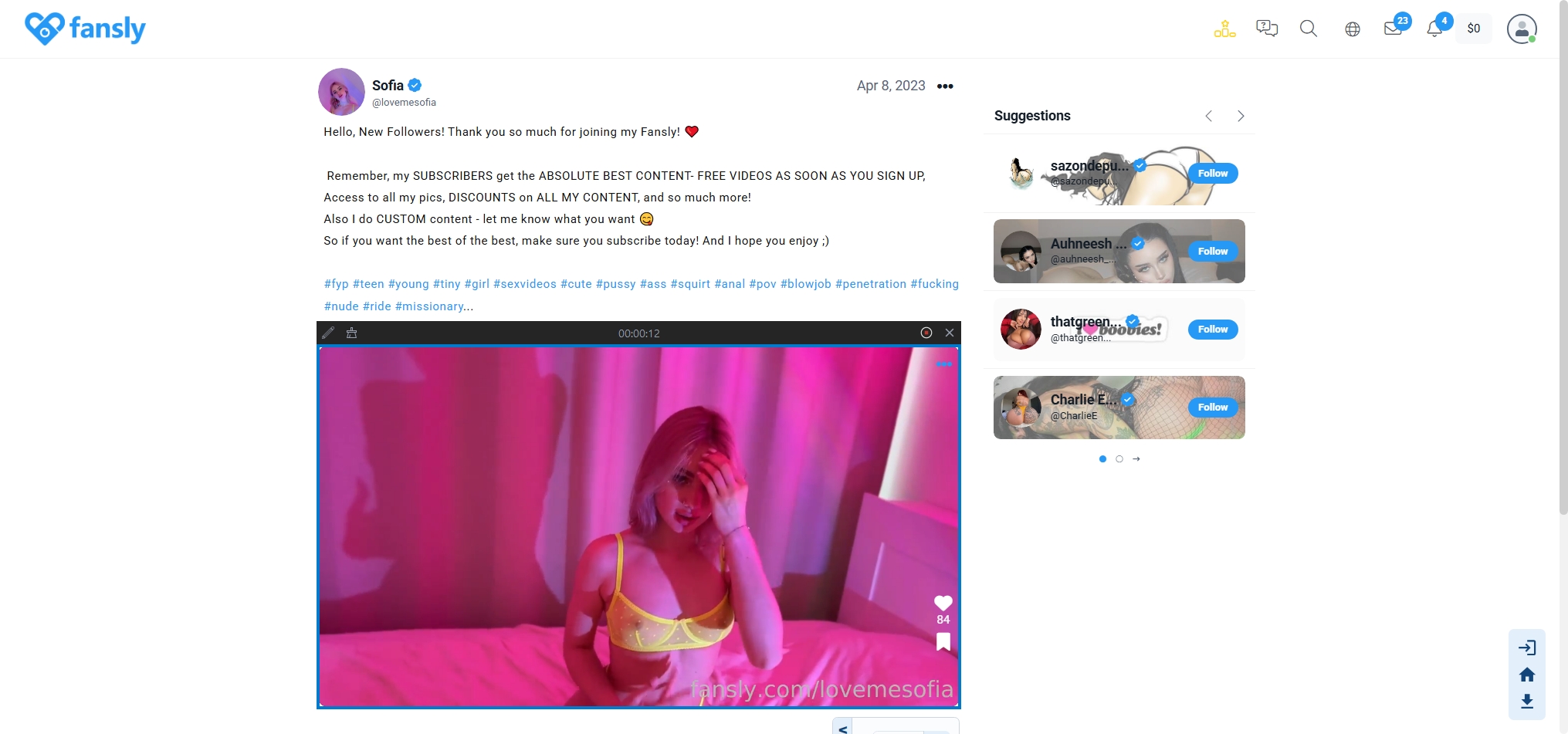 recordit record lovemesofia video